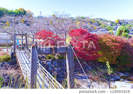 Autumn leaves at Fault Park 128091928