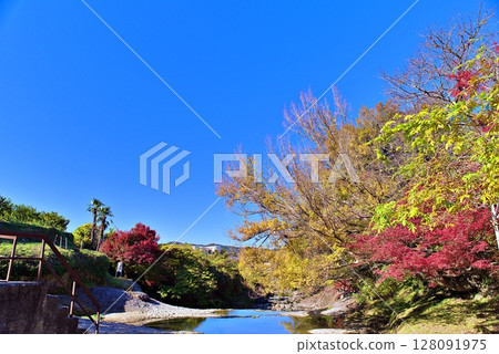 斷層公園的秋葉 128091975