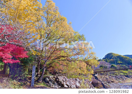 Autumn leaves at Fault Park 128091982