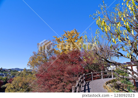 Autumn leaves at Fault Park 128092023