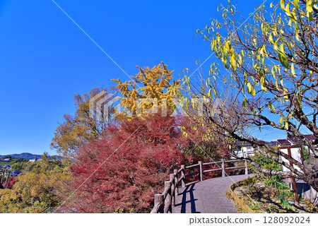Autumn leaves at Fault Park 128092024