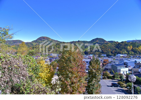Landscape with ginkgo 128092276