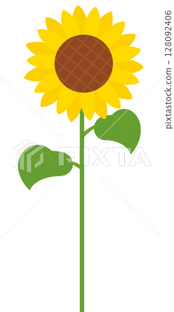 Illustration of a single sunflower 128092406