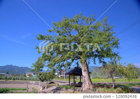Kojindo Temple stands out against the blue sky 128092438