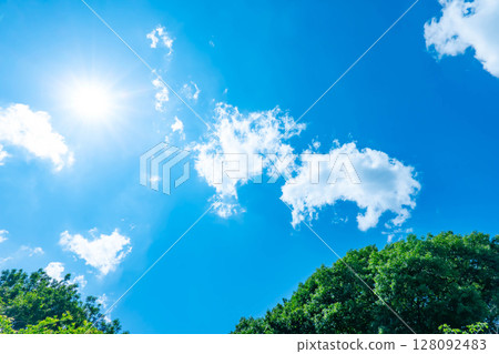 Blue sky, clouds and grove 128092483