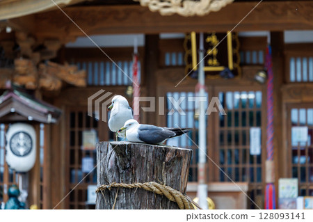 Kabushima Shrine and the Black-tailed Gulls - A power spot for praying for financial luck Kabushima Shrine and the Black-tailed Gulls - A power spot for praying for financial luck 128093141