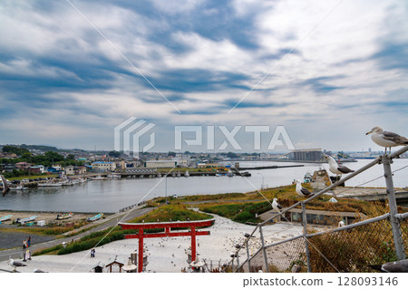 蕪島神社與黑尾鷗-祈求財運的能量景點 蕪島神社與黑尾鷗-祈求財運的能量景點 128093146
