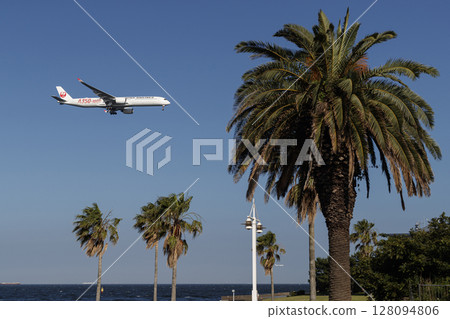 A plane flying through a tropical landscape 128094806