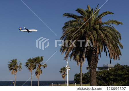 A plane flying through a tropical landscape 128094807