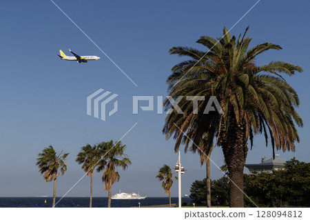 A plane flying through a tropical landscape 128094812