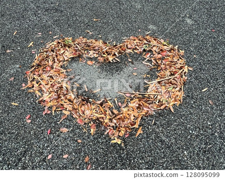 Heart made from fallen leaves Heart made from fallen leaves 128095099