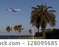 A plane flying through a tropical landscape 128095685