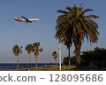 A plane flying through a tropical landscape 128095686