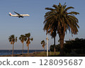 A plane flying through a tropical landscape 128095687