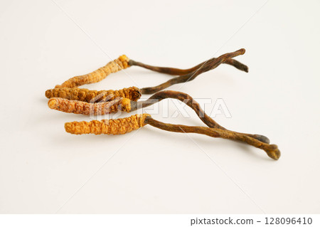Cordyceps sinensis or Ophiocordyceps sinensis isolated on white background, mushroom herb treatment medicine. 128096410