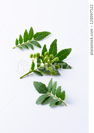 新鮮日本胡椒 128097522