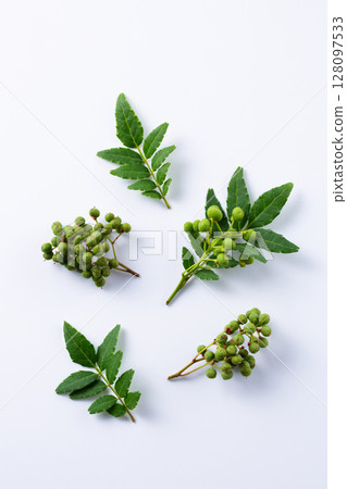 Fresh Japanese pepper Fresh Japanese pepper 128097533