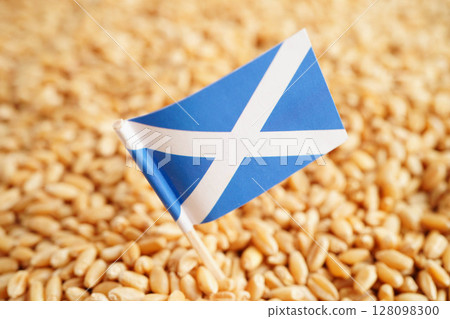 Hungary flag on grain wheat, trade export and economy. 128098300