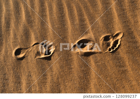 sand, foot, shoe 128099237