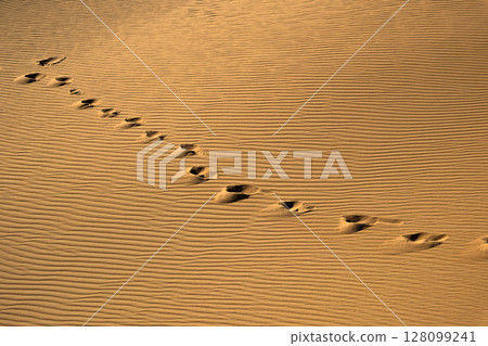 sand, foot, footprint 128099241