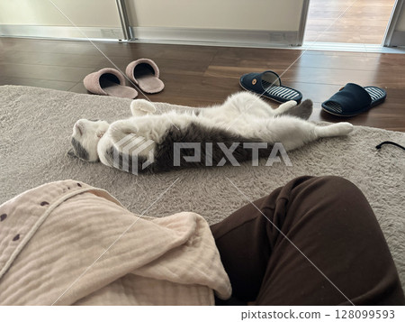 Tipping over cat Tipping over cat 128099593