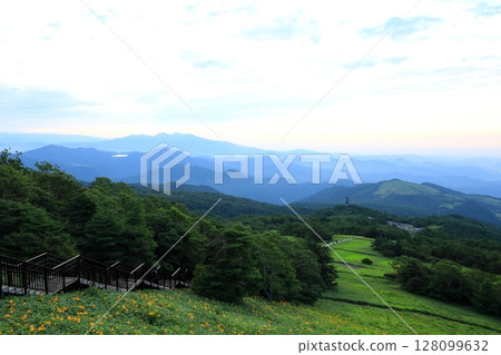 Nikko Kirifuri Highlands Kisugehira Park Sky Corridor where day lilies are in full bloom Nikko Kirifuri Highlands Kisugehira Park Sky Corridor where day lilies are in full bloom 128099632