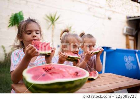 Enjoying summer with juicy watermelons in the backyard garden 128099723