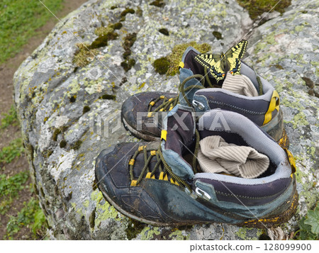 butterfly rests sitting on a dirty hiking boot butterfly rests sitting on a dirty hiking boot 128099900