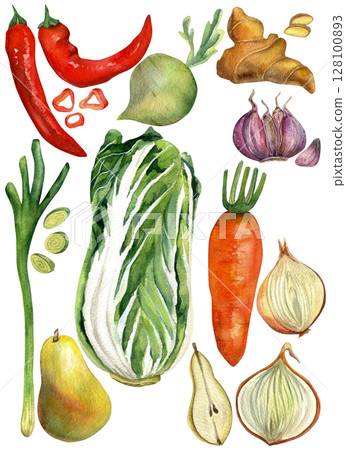 Watercolor set of illustrations of fresh vegetables - green cabbage, green onion, onion, red hot pepper, pear, daikon, garlic, ginger for making Korean kimchi hand drawn isolated on white background Watercolor set of illustrations of fresh vegetables - green cabbage, green onion, onion, red hot pepper, pear, daikon, garlic, ginger for making Korean kimchi hand drawn isolated on white background 128100893