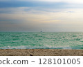 Florida coastal landscape with sandy shore turquoise water and sky with light clouds 128101005