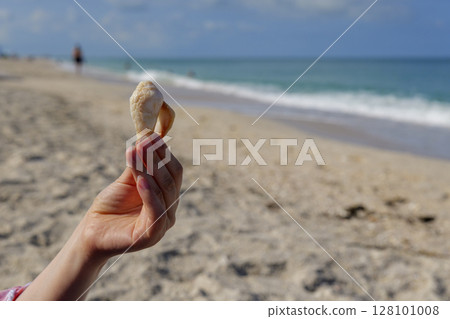 Hand holding seashell on sandy beach with Gulf of Mexico waves and bright blue sky Hand holding seashell on sandy beach with Gulf of Mexico waves and bright blue sky 128101008