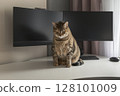 Tabby cat sitting on white desk in front of large black monitor in modern home office 128101009