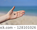 Close up of hand holding shark tooth against sandy Gulf coast background with sea horizon 128101026
