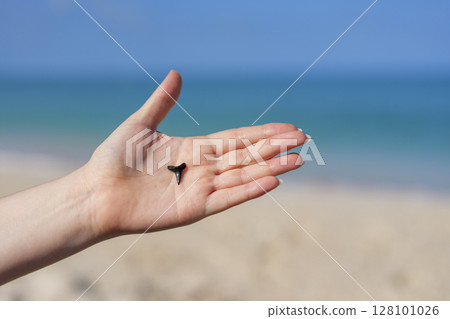 Close up of hand holding shark tooth against sandy Gulf coast background with sea horizon 128101026