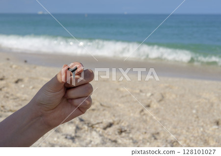 Close up of hand holding shark tooth against sandy Gulf coast background with sea horizon Close up of hand holding shark tooth against sandy Gulf coast background with sea horizon 128101027