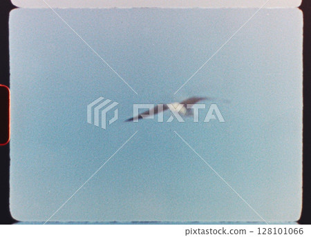 Vintage styled footage capturing seagull soaring gracefully against pristine blue sky, embodying freedom and serene coastal wildlife movement with film grain aesthetic 128101066