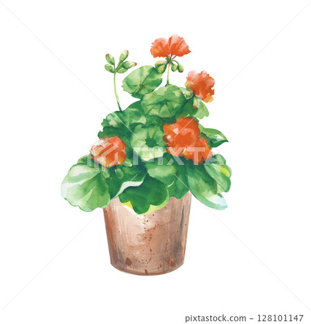 A hand-drawn flower pot with geraniums. Watercolor illustration isolated on white. Clay pot template with a red flower. Clipart. Gardening. A houseplant. A hand-drawn flower pot with geraniums. Watercolor illustration isolated on white. Clay pot template with a red flower. Clipart. Gardening. A houseplant. 128101147
