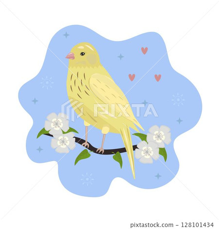 Yellow bird canary on the branch. This bird is associated with wealth and homeliness Yellow bird canary on the branch. This bird is associated with wealth and homeliness 128101434