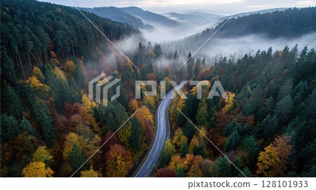 Winding road through a colorful forest in the autumn with fog. 128101933