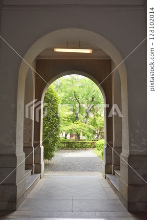 舊京都府廳舍的櫻花 舊京都府廳舍的櫻花 128102014