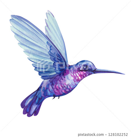 Purple hummingbird watercolor illustration tropical bird in flight botanical clipart for wedding invitations fabric print wall art 128102252