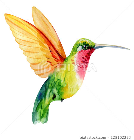 hummingbird with orange wings watercolor illustration tropical bird in flight botanical clipart for wedding invitations prints 128102253