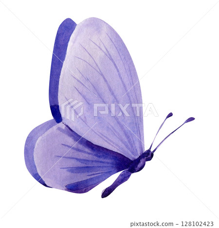 Lavender watercolor butterfly with folded wings for nursery decor scrapbooking wedding stationery Lavender watercolor butterfly with folded wings for nursery decor scrapbooking wedding stationery 128102423
