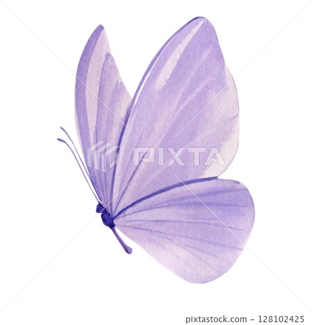 Purple watercolor butterfly side view with delicate wings for spring wedding invitations and wall art 128102425
