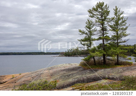 Pine Trees on Rocky Shore Under Cloudy Sky, Canada. Pine Trees on Rocky Shore Under Cloudy Sky, Canada. 128103137