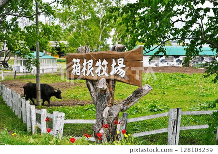 北海道箱根牧場的風景 北海道箱根牧場的風景 128103239