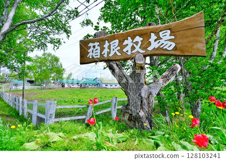 Scenery of Hakone Ranch, Hokkaido 128103241