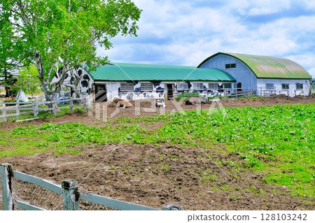 Scenery of Hakone Ranch, Hokkaido 128103242