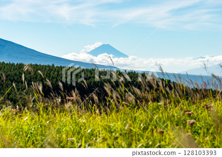 Mount Fuji as seen from Kirigamine Highlands Mount Fuji as seen from Kirigamine Highlands 128103393