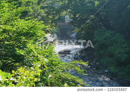 小田急線穿越丹澤川源頭四十八瀨川的風景 小田急線穿越丹澤川源頭四十八瀨川的風景 128103887